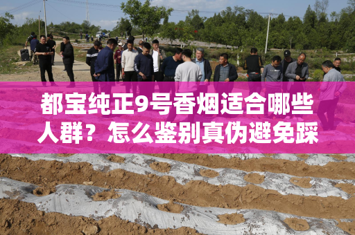 都宝纯正9号香烟适合哪些人群？怎么鉴别真伪避免踩坑？